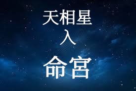 紫微天相命宮|天相星在命宮